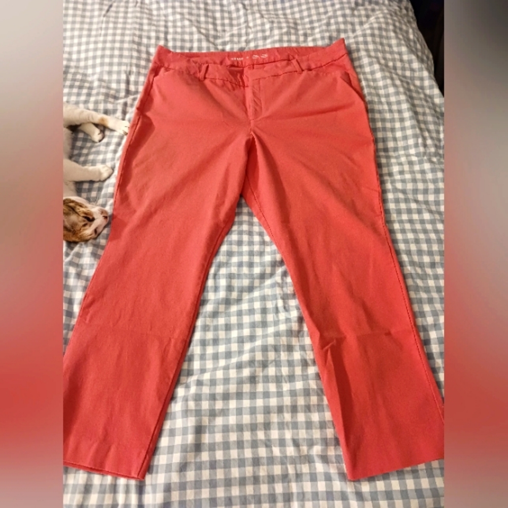 High Rise Pixie Skinny Hot Pink Size 18